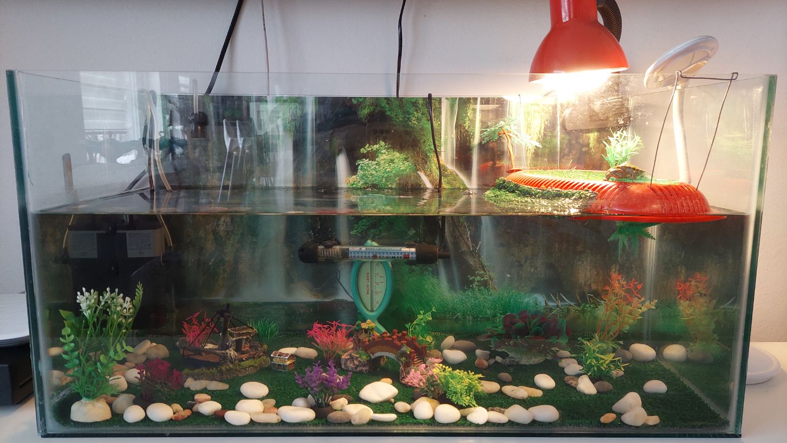 How I Automated My Aquarium Using A Sonoff - Smarthomescene