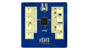 mmWave Radar Modules: LD2411s