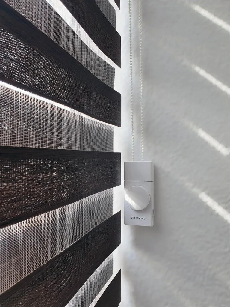 Zemismart Matter Over Thread Roller Shade Driver MTP1 Review: Installed 1