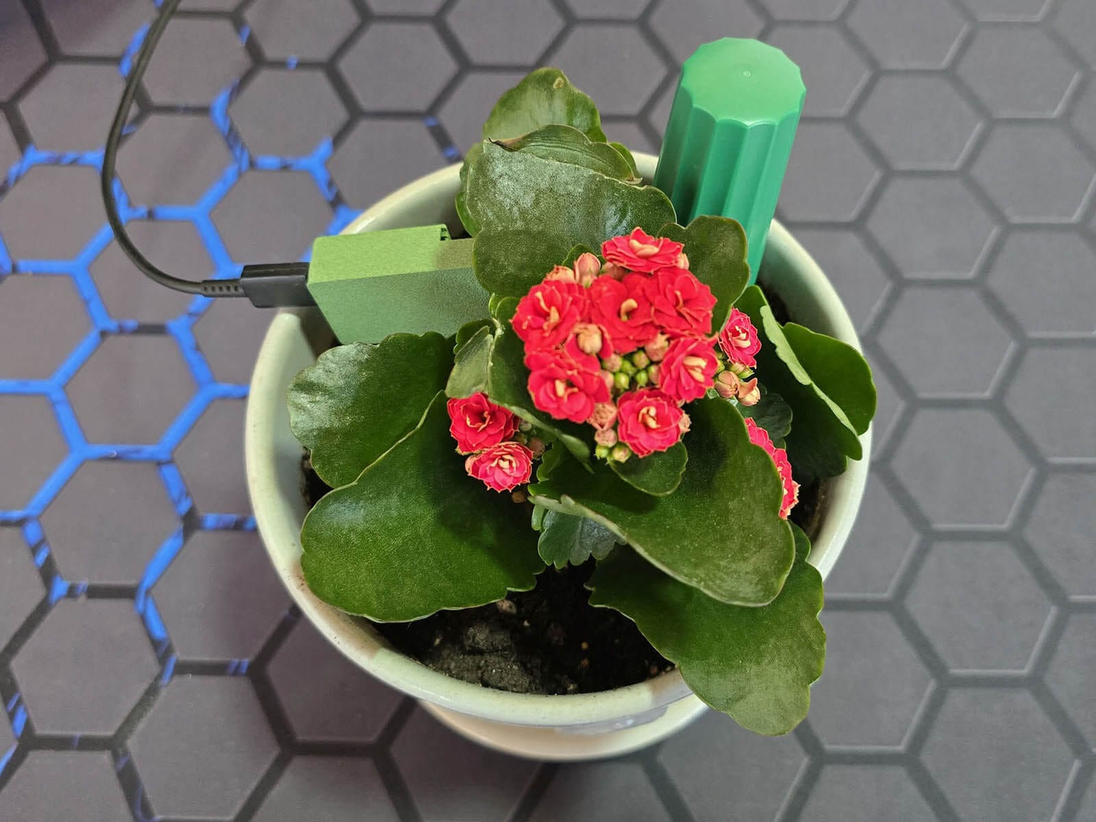 ThirdReality Smart Soil Moisture Sensor Review | SmartHomeScene
