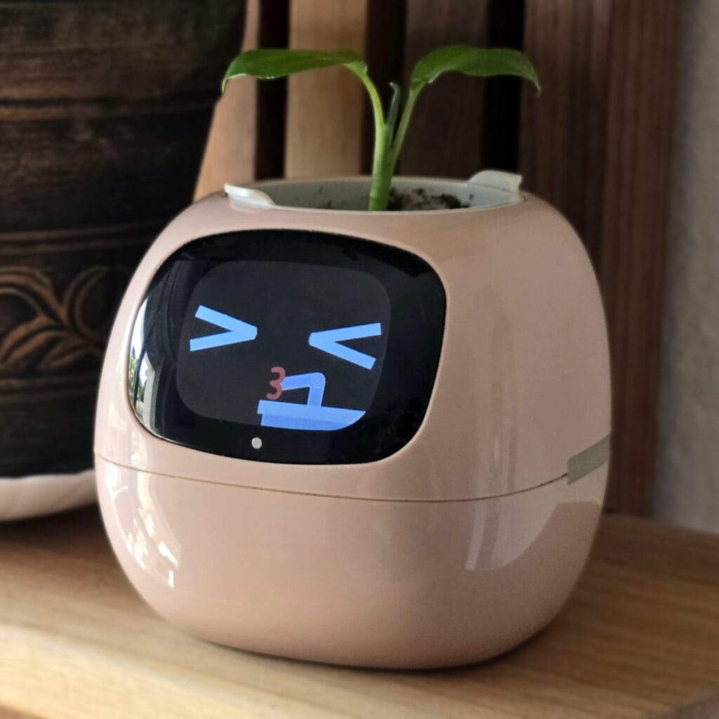 Ivy Smart Planter Review by SmartHomeScene: Face 2