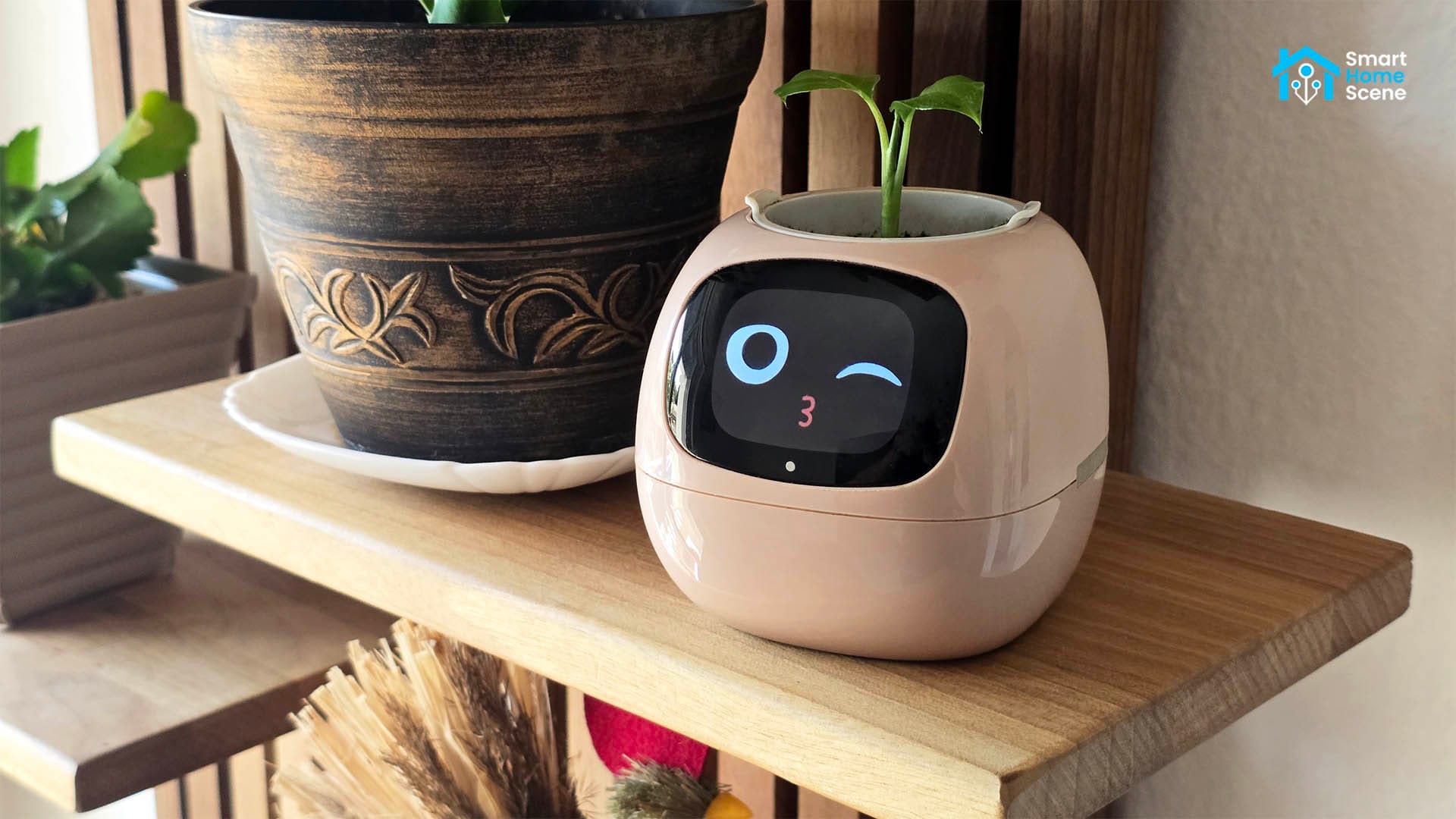 Ivy Smart Planter Review by SmartHomeScene: Hero Image