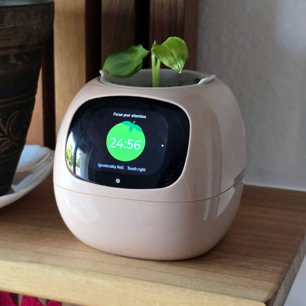 Ivy Smart Planter Review by SmartHomeScene: Pomodoro Timer