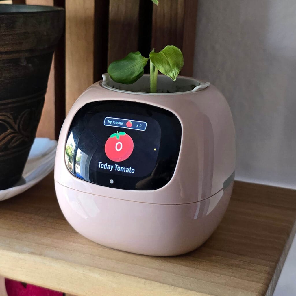 Ivy Smart Planter Review by SmartHomeScene: Pomodoro Timer Total