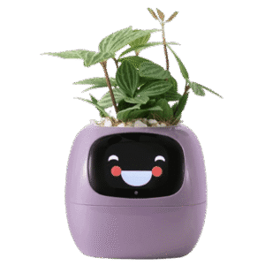 Ivy Smart Planter Review by SmartHomeScene: Where to Buy