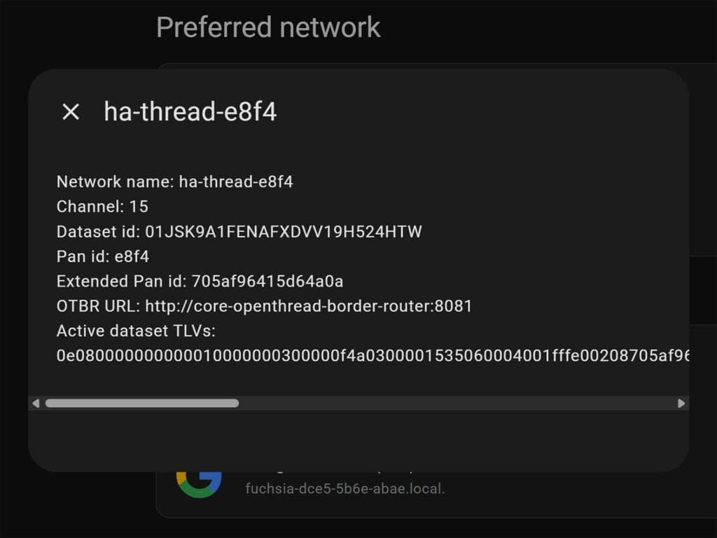 Guide for Creating ESPHome Thread Devices: View Network Info