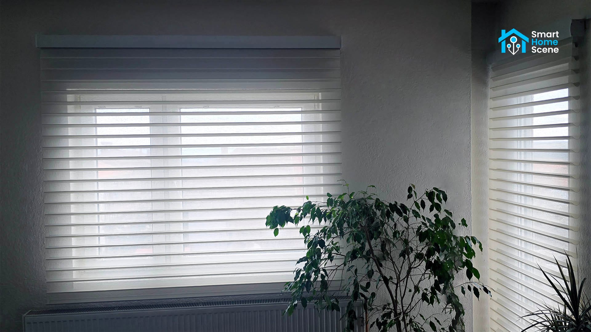 Graywind Shagrila Shades Review SmartHomeScene: Installed